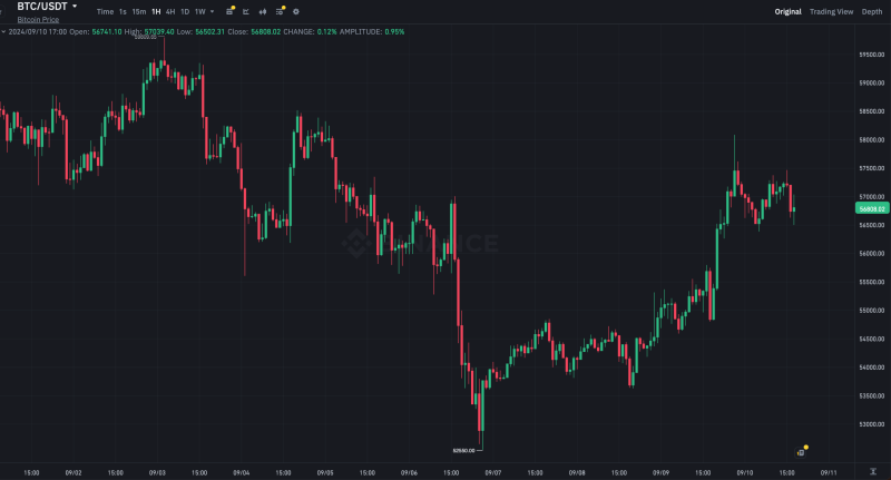 Биткоин-ETF всё ещё не стали инструментом принятия главной криптовалюты. Что именно им помешало?